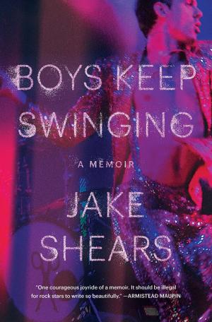 Cover of the book Boys Keep Swinging by David Baker