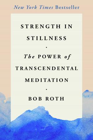 Book cover of Strength in Stillness
