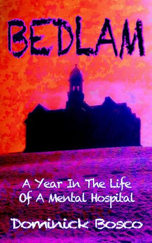 Cover of Bedlam, A Year In The Life Of A Mental Hospital
