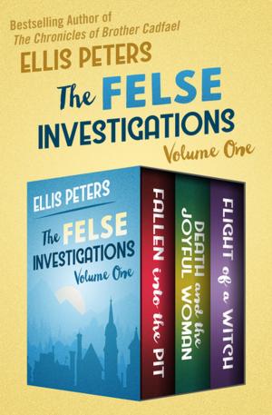 Book cover of The Felse Investigations Volume One