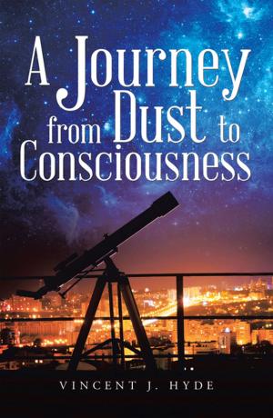 Cover of the book A Journey from Dust to Consciousness by Fabiola Piedad Maria Alicia Reynales de Berry