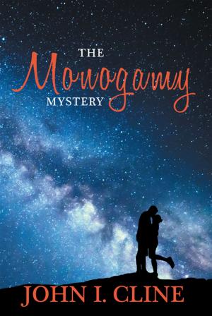 Cover of the book The Monogamy Mystery by Jacquie Faber