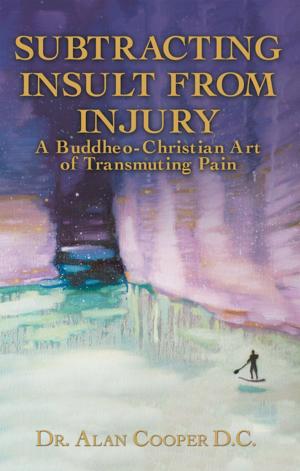 Cover of the book Subtracting Insult from Injury by Evelyn B Penney