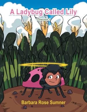 Cover of the book A Ladybug Called Lily by Geila Jones