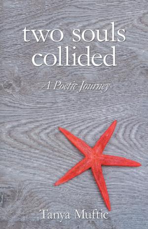 Cover of the book Two Souls Collided by Amanda M. Davis