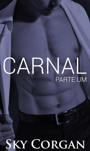 Cover of the book Carnal: Parte Um by Karen Cino