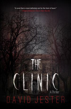 Cover of the book The Clinic by Fredrik Paulún, Karoliina Paulún