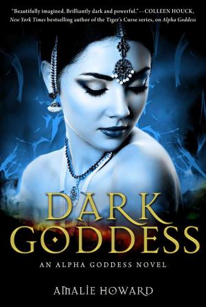 Cover of the book Dark Goddess by Melissa E. Hurst
