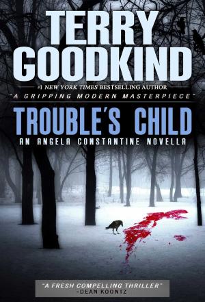 Cover of the book Trouble's Child by Eleanor Hamer, Fernando Díez de Urdanivia