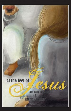 Cover of the book At the Feet of Jesus by Rich Hatfield