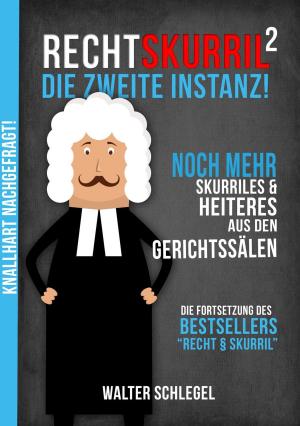 Cover of the book Recht skurril - Die zweite Instanz! by Dave Menlo