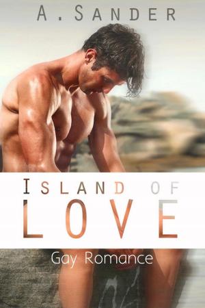Cover of the book Island of Love: Gay Romance by DS Parker Sr