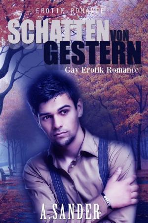 Cover of the book Schatten von Gestern: Gay Erotik Romance by Brian E. Bell