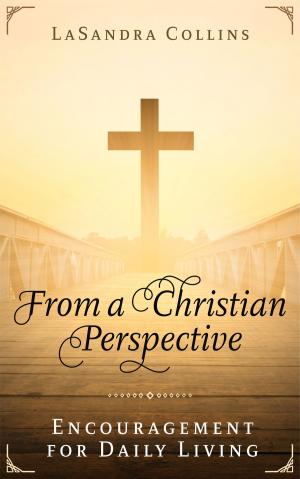 Cover of the book From a Christian Perspective: Encouragement for Daily Living by Erik Wickberg