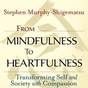 Book cover of From Mindfulness to Heartfulness
