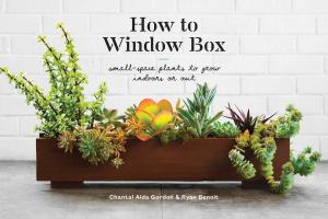 Cover of the book How to Window Box by R.B. Casingal