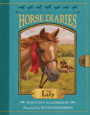 Cover of the book Horse Diaries #15: Lily by Mel Friedman, Ellen Weiss