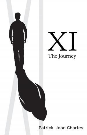 Cover of the book XI by Meghan Jenkins