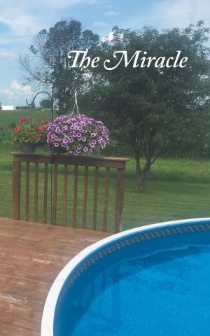 Cover of the book The Miracle by Donna Lee Valente