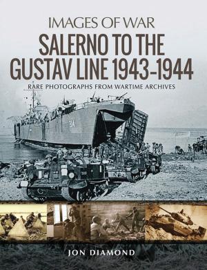 Book cover of Salerno to the Gustav Line 1943–1944