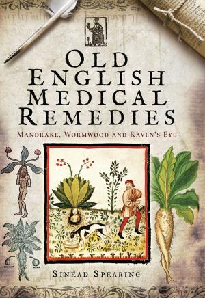 Cover of the book Old English Medical Remedies by David Cable