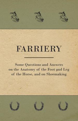 Cover of the book Farriery - Some Questions and Answers on the Anatomy of the Foot and Leg of the Horse, and on Shoemaking by Eugene Corri
