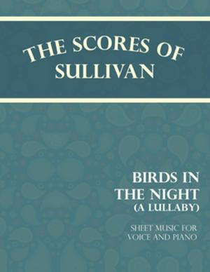 Book cover of Sullivan's Scores - Birds in the Night - A Lullaby - Sheet Music for Voice and Piano