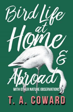 Cover of the book Bird Life at Home and Abroad - With Other Nature Observations by C. A. House