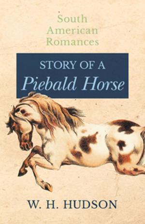 Cover of the book Story of a Piebald Horse (South American Romances) by Cynthia Cunningham Cort
