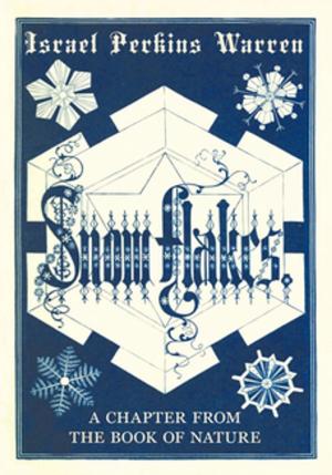 Cover of the book Snow-Flakes - A Chapter from the Book of Nature by Hughde Selincourt