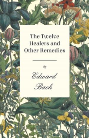 bigCover of the book The Twelve Healers and Other Remedies by 
