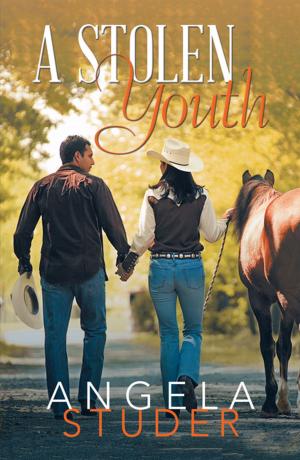 Cover of the book A Stolen Youth by Scott Irwin