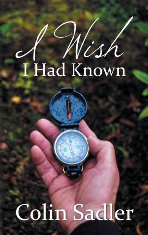 Cover of the book I Wish I Had Known by Jess Strauss