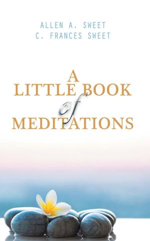 Cover of the book A Little Book of Meditations by S Long