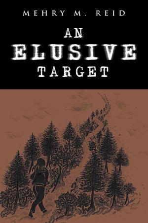 Cover of the book An Elusive Target by C. H. Foertmeyer
