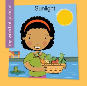 Cover of the book Sunlight by Monique Vescia