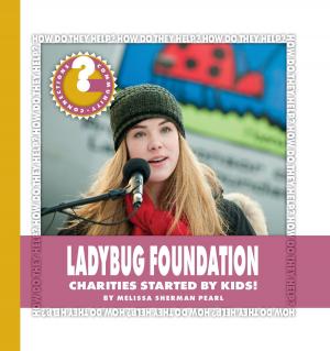Cover of the book Ladybug Foundation by Diane Lindsey Reeves