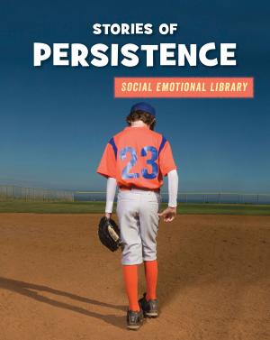 Cover of the book Stories of Persistence by Ellen Labrecque