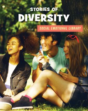Cover of the book Stories of Diversity by Julie Knutson