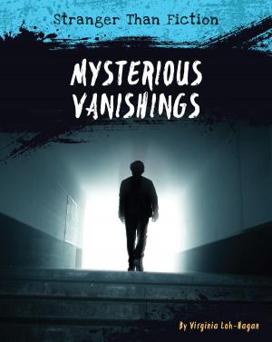 Cover of the book Mysterious Vanishings by Danilo Zecca
