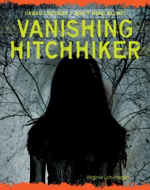 Cover of Vanishing Hitchhiker