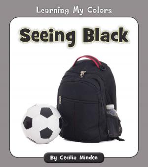 Cover of the book Seeing Black by Czeena Devera