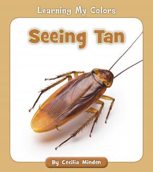 bigCover of the book Seeing Tan by 