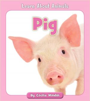 Cover of the book Pig by Rowan Renault