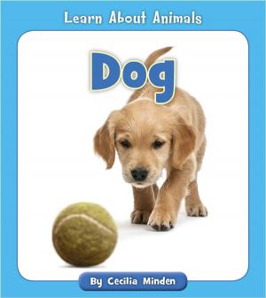 Cover of the book Dog by Cecilia Minden