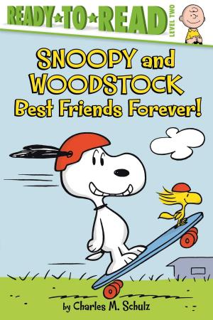 Cover of the book Snoopy and Woodstock by Eric Seltzer