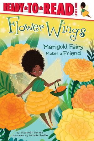 Book cover of Marigold Fairy Makes a Friend