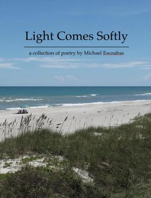 Cover of the book Light Comes Softly by Marc Horne