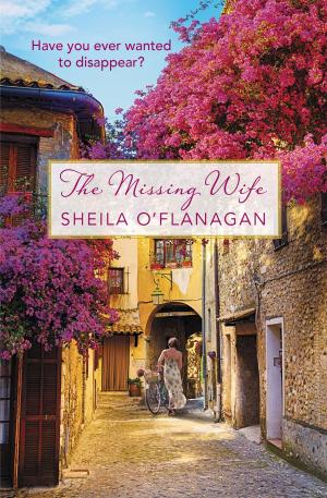 Cover of the book The Missing Wife by Susan Sussman