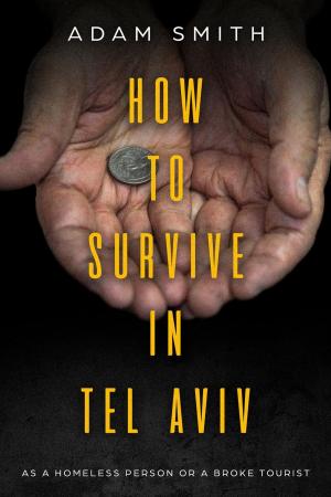 Book cover of How to Survive In Tel Aviv As A Homeless Person or a Broke Tourist